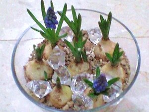 Photo_2